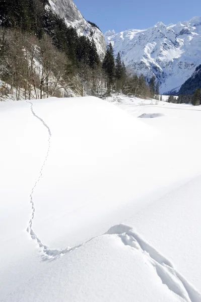 Winter landscape at Engelberg — Stok fotoğraf