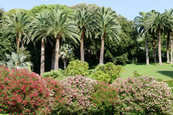 Jardim de uma villa em Levano na Ligúria — Fotografia de Stock