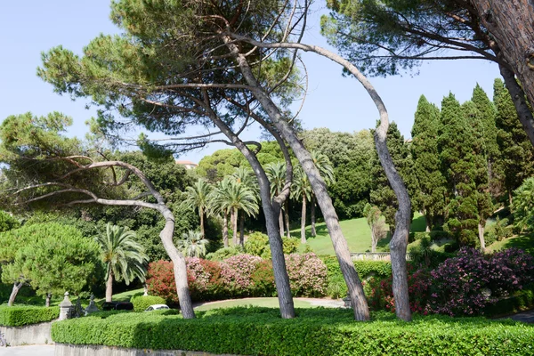 Garden of a villa at Levano on Liguria — Stock Photo, Image
