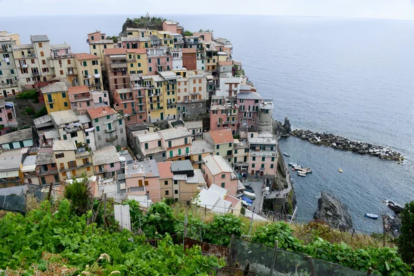 The village of Manarola on Cinque Terre — Stock Photo, Image