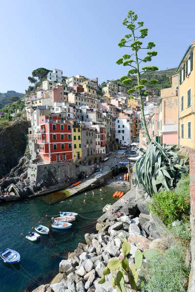 Fisherman village Riomaggiore — Stock Photo, Image