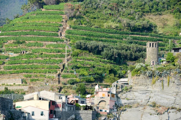 Scenic view of colorful village Vernazza, Italy — Stock Photo, Image