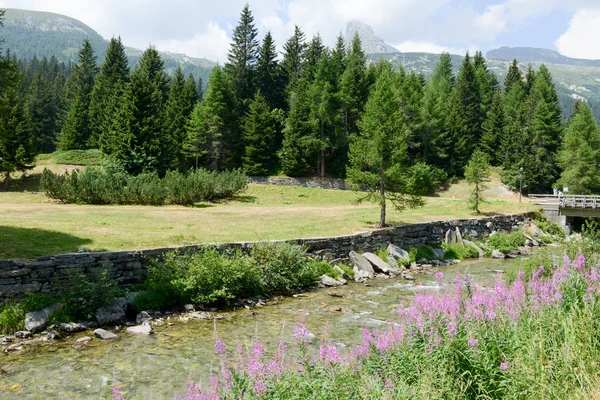 Floden på San Bernardino på Mesolcina dalen — Stockfoto