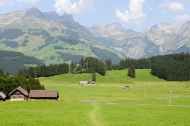 Bir Engelberg dağ manzarası