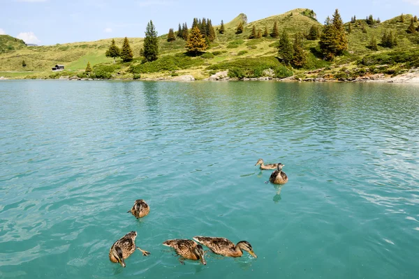 Sjön Truebsee över Engelberg — Stockfoto