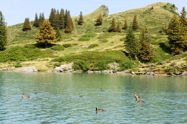 Sjön Truebsee över Engelberg — Stockfoto