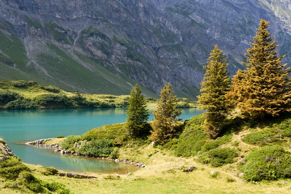 Engelberg üzerinde göl Truebsee — Stok fotoğraf