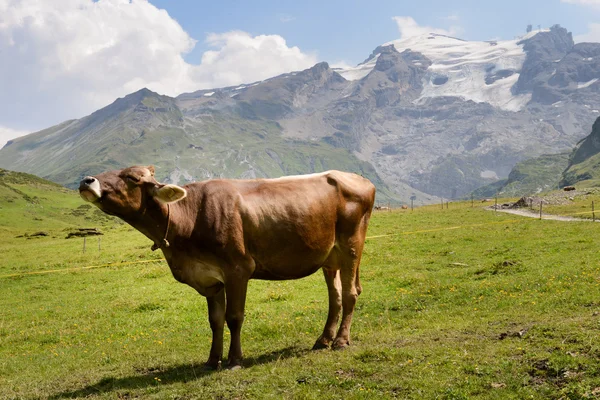 Bergslandskap på Truebsee över Engelberg på de schweiziska Alperna — Stockfoto