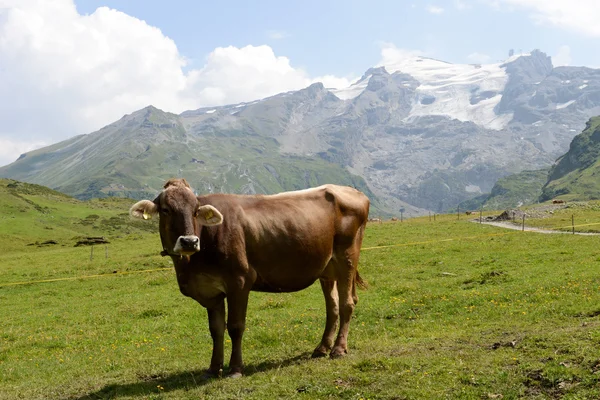 Paisaje de montaña en Truebsee sobre Engelberg en los Alpes suizos — Foto de Stock