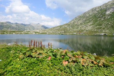 Gotthard, pitoresk göl