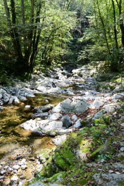 Muggio Alp, nehir Breggia, Alpler, Kanyon, Aralık bașlığı, kesim, akış, orman, gorge, graubuenden, yeşil, hinterrhein, peyzaj, dağ, dağlar, dar, doğa, Ren, nehir, kaya, kaya, roffla, sahne, slot, dik, taş, upp akışı, İsviçre