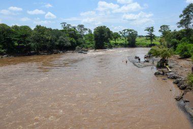 Etiyopya 'daki Omo Ulusal Parkı' ndaki nehir.