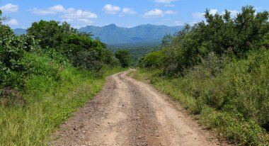 Etiyopya 'daki Omo Milli Parkı' nda toprak yol