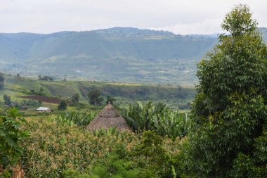 Etiyopya 'daki Omo Ulusal Parkı' nda manzara