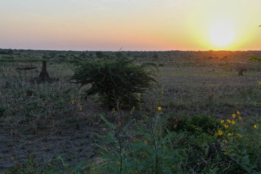 Etiyopya 'daki Omo Ulusal Parkı' nda gün batımı