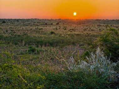 Etiyopya 'daki Omo Ulusal Parkı' nda gün batımı