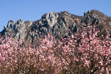Denti della vecchia mountain on spring over Lugano