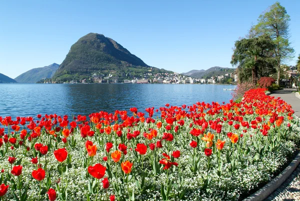 Lugano, Szwajcaria - widok na zatokę z ogrodu botanicznego — Zdjęcie stockowe