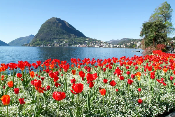 Lugano, Szwajcaria - widok na zatokę z ogrodu botanicznego — Zdjęcie stockowe