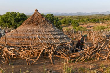 Turmi, Etiyopya - 13 Ağustos 2025: Etiyopya yakınlarındaki Hamer kabilesi köyü