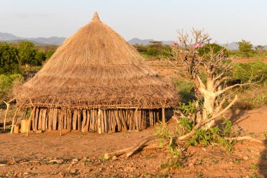 Etiyopya 'da Turmi yakınlarındaki Hamer kabilesi köyü