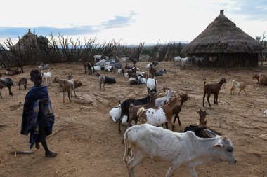 Turmi, Etiyopya - 13 Ağustos 2025: Etiyopya yakınlarındaki Hamer kabilesi köyü