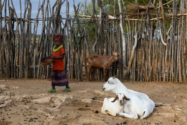 Turmi, Etiyopya - 13 Ağustos 2025: Etiyopya yakınlarındaki Hamer kabilesinin çocuğu