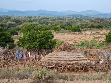 Turmi, Etiyopya - 13 Ağustos 2025: Etiyopya yakınlarındaki Hamer kabilesi köyü