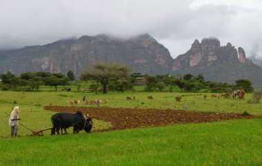 Mariam ve Daniel Korkor Manastırı, Etiyopya - 21 Ağustos 2025: Etiyopya 'daki Mariam ve Daniel Korkor mağara kilisesi manzarası