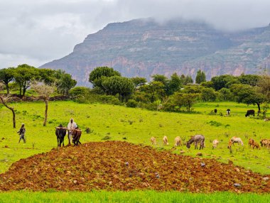 Mariam ve Daniel Korkor Manastırı, Etiyopya - 21 Ağustos 2025: Etiyopya 'daki Mariam ve Daniel Korkor mağara kilisesi manzarası