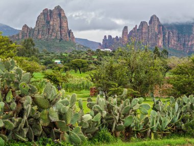 Mariam ve Daniel Korkor 'un Etiyopya' daki mağara manzarası