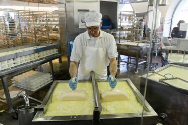 Engelberg adlı bir gösteri süt peynir hazırlama Cheesemaker