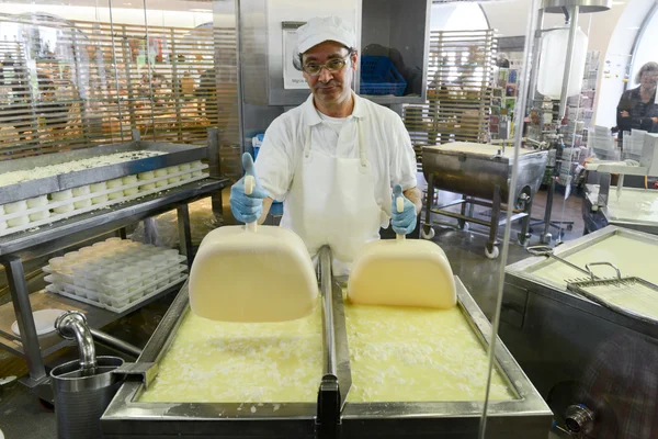 Cheesemaker preparing the cheese in a show dairy at Engelberg — Stock Photo, Image