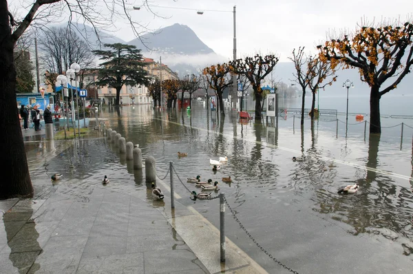 L'inondation du lac de Lugano — Photo