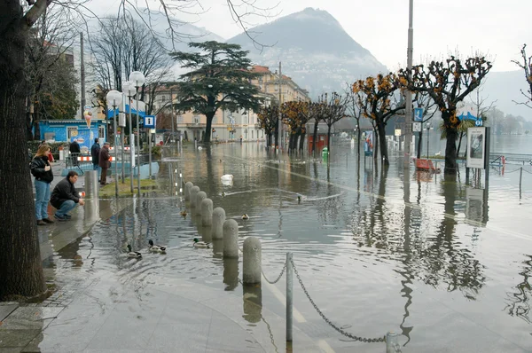 The inundation of lake Lugano — Stock Photo, Image