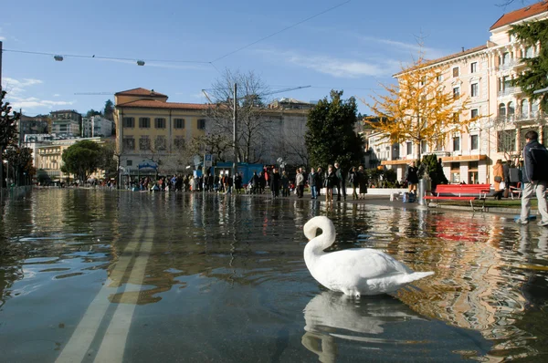 The inundation of lake Lugano — Stock Photo, Image