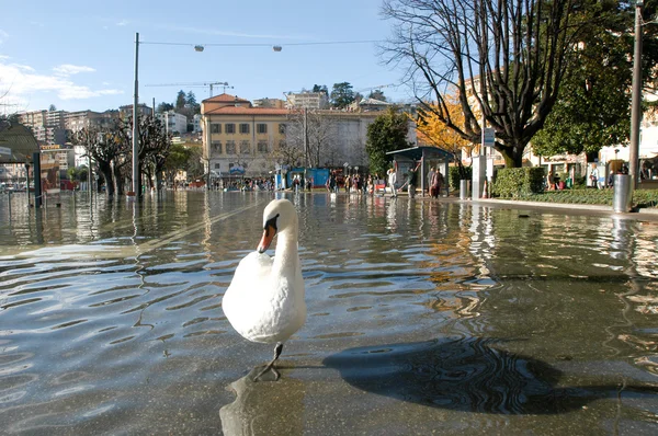 The inundation of lake Lugano — Stock Photo, Image