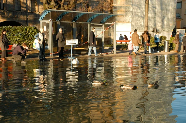 Наводнение озера Лугано — стоковое фото