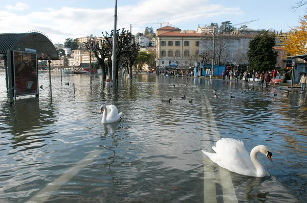 The inundation of lake Lugano — Stock Photo, Image