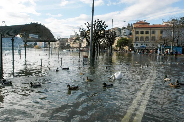 The inundation of lake Lugano — Stock Photo, Image