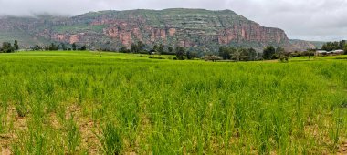 Etiyopya 'nın Tigray bölgesinde manzara