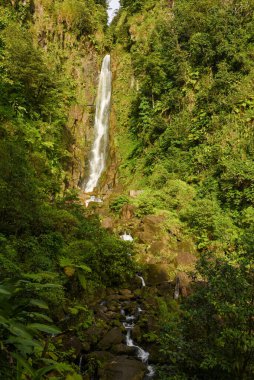 Domenica adasındaki Trafalgar Şelalesi manzarası