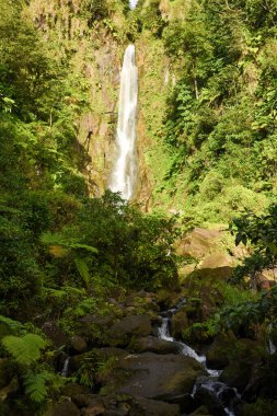 Domenica adasındaki Trafalgar Şelalesi manzarası