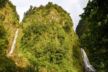 Domenica adasındaki Trafalgar Şelalesi manzarası
