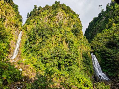 Domenica adasındaki Trafalgar Şelalesi manzarası