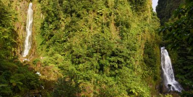 Domenica adasındaki Trafalgar Şelalesi manzarası