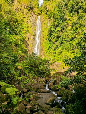 Domenica adasındaki Trafalgar Şelalesi manzarası