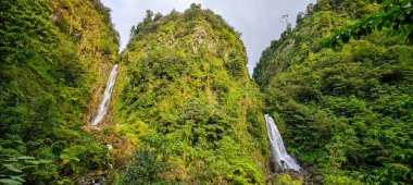 Domenica adasındaki Trafalgar Şelalesi manzarası