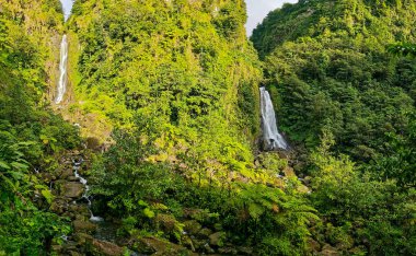 Domenica adasındaki Trafalgar Şelalesi manzarası