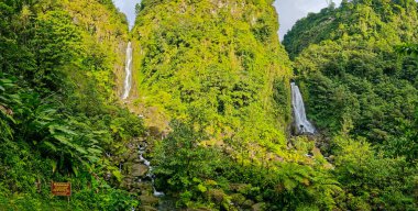 Domenica adasındaki Trafalgar Şelalesi manzarası